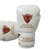 Premium Cowhide Leather Boxing Gloves
