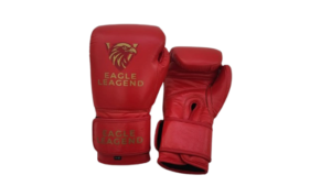 Premium Buffalo Hide Boxing Gloves